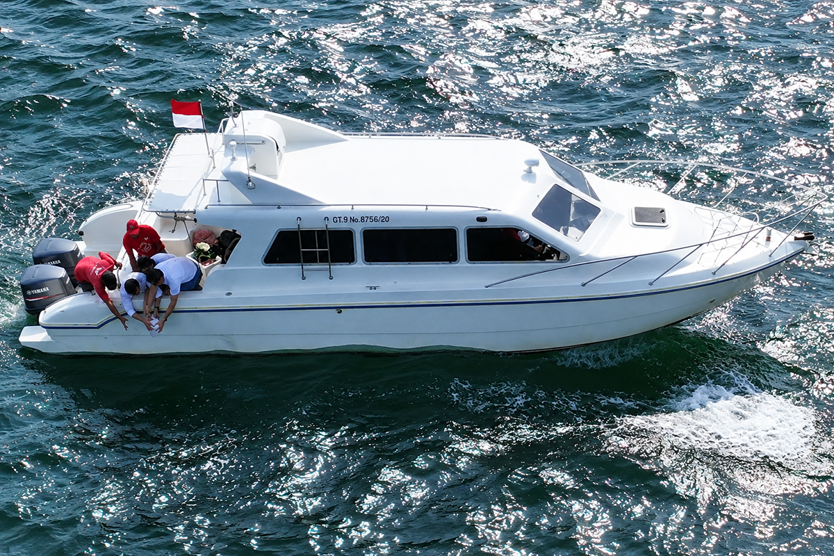 pelarunagn abu terkasih di laut